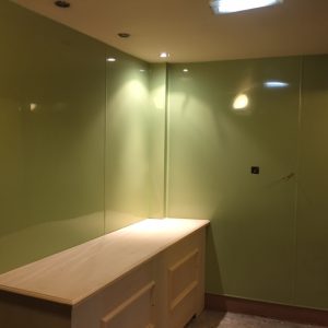 Hygienic Wall Cladding